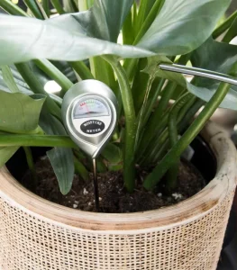 3-in-1 Soil PH/Moisture/Light Meter Plant Care Tool Soil Moisture Meter for Indoor Outdoor Gardening