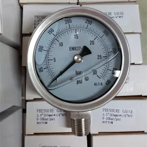 4″ Stainless Steel IP 65 Pressure Gauge 233.50.100