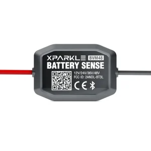 48V Real-Time Automotive Battery Tester with App Control