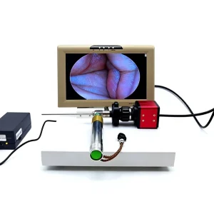 4mm Portable Foldable Electronic Imaging Inspection Device Otoscope Ear Cleaning Industrial Pet Ear Nasal Endoscope Made