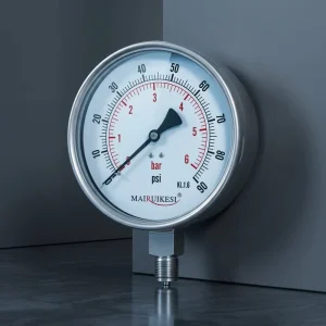 Anti-Corrosion Radial Thread Pressure Gauge with Stainless Steel Body for Machinery