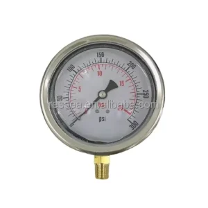 Best Supplier Stainless Steel Pressure Gauge 1500 psi Manometer Gauges 16bar 100 bar