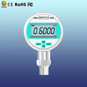 Digital Gas Pressure Gauge 25 bar with LED Display