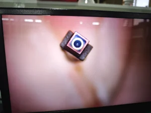 Digital Mini Endoscope Camera Module 400×400 Pixel or 800x800p Optional Customized Front Tip and Working Length