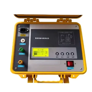 Electrical Insulation Resistance Meter and Tester 220V Power Supply 2% IP55 Digital Portable 5kV