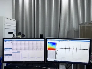 Ex Vivo Large-Animal Cardiac Perfusion System with Integrated Functional Monitoring