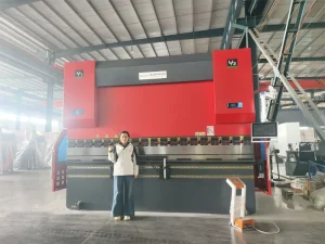 Full Electric Cnc Bending Machine Small Full Servo Press Brake Sheet Metal Folding Machine 250ton 4000mm