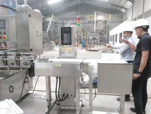 Industrial High Load Weight Checker Auto Reject Weight Separator for Feed Fertilizer Chemical Bag Production Line