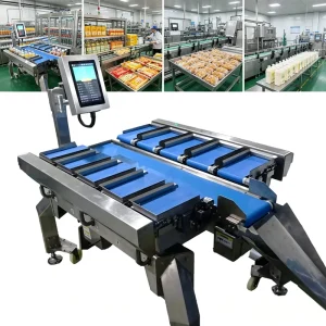 Rehoo Industrial Multihead Weigher 14 Head High Accuracy Combination Scale for Food Processing Line