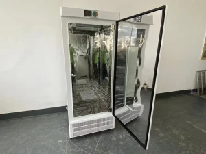 Stainless Steel Biochemical Incubator with Forced Convection