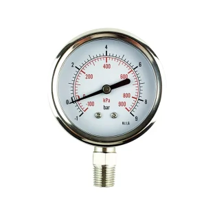 Stainless Steel Mechanical Dial Scale Pressure Gauge Pressure Detector