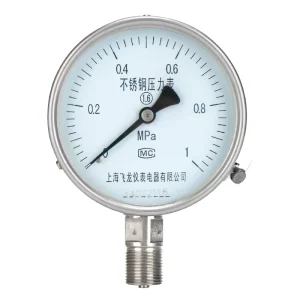 Stainless Steel Pressure Gauge, Pointer Dial, 0-1 MPa