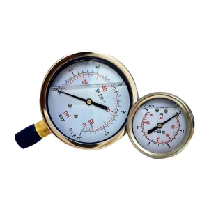 Stainless Steel Pressure Gauges SS Pressure Gauge Dial 60 100 150