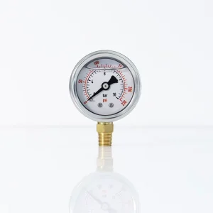 Stainless Steel Radial Digital Pressure Gauge ISO9001 Certified 0-450psi for Liquid and Water Pressure Measurement