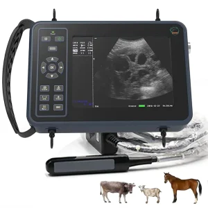 Veterinary Ultrasound Scanner for Animal Pregnancy with 7.5MHz Rectal Linear Probe for Cattle Horse Camel Cow